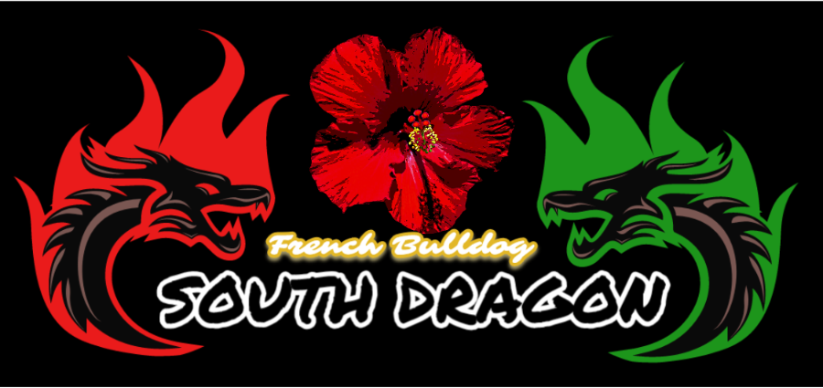 ������QR Pet ID